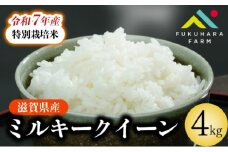 ミルキークイーン 4kg ( 2kg ×2) 特別栽培米 令和7年産 先行受付 新米 米 精米 こめ コメ お米 ご飯 米 ミルキー 先行受付 4キロ 令和7年 2025年10月下旬より発送開始 滋賀 彦根