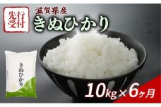 【令和7年産先行受付】 きぬひかり 10kg ( 5kg ×2)  6回定期便 令和7年産 定期便 新米 米 精米 こめ コメ お米 ご飯 米 キヌヒカリ 先行受付 米定期便 6か月定期便 6ヶ月定期便 6回 6ヶ月 6か月 滋賀 彦根