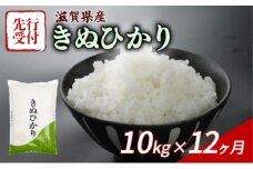 【令和7年産先行受付】 きぬひかり 10kg ( 5kg ×2) 12回定期便 令和7年産 定期便 新米 米 精米 こめ コメ お米 ご飯 米 キヌヒカリ 先行受付 米定期便 12か月定期便 12ヶ月定期便 12回 12ヶ月 12か月 滋賀 彦根