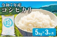 【先行予約 令和7年産】 こしひかり 3ヶ月 定期便 5kg 新米 精米 米 コメ お米 白米 ご飯 コシヒカリ 5 令和7年 3回 定期便 滋賀 彦根