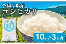 【先行予約 令和7年産】 こしひかり 3ヶ月 定期便 10kg 新米 精米 米 コメ お米 白米 ご飯 コシヒカリ 5kg 2袋 令和7年 3回 滋賀 彦根