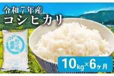 【先行予約 令和7年産】 こしひかり 6ヶ月 定期便 10kg 新米 精米 米 コメ お米 白米 ご飯 コシヒカリ 5kg 2袋 60kg 令和7年 6回 滋賀 彦根