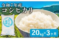 【先行予約 令和7年産】 こしひかり 3ヶ月 定期便 20kg 精米 米 コメ お米 白米 ご飯 コシヒカリ 5kg 4袋 令和7年 3回 定期便 滋賀 彦根