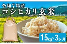 【先行予約 令和7年産】こしひかり 3ヶ月 定期便 玄米 15kg 新米 米 お米 ご飯 15kg 1袋 令和7年 コシヒカリ 3回 滋賀 彦根