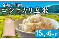 【先行予約 令和7年産】こしひかり 6ヶ月 定期便 玄米 15kg 新米 米 お米 ご飯 15kg 1袋 令和7年 コシヒカリ 6回 滋賀 彦根