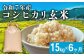※画像はイメージです。