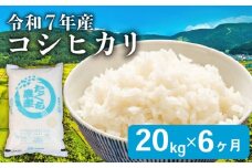 【先行予約 令和7年産】 こしひかり 6ヶ月 定期便 20kg 精米 米 コメ お米 白米 ご飯 コシヒカリ 5kg 4袋 令和7年 6回 定期便 滋賀 彦根