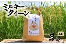 【令和7年産先行受付】 ミルキークイーン 5kg 玄米 令和7年産 新米 米 こめ コメ お米 ご飯 ミルキークイーン ミルキークィーン 先行受付 令和7年 滋賀 彦根