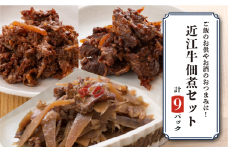 近江牛 詰め合わせ 9パック ごぼう しぐれ煮 赤ワイン煮 佃煮 つくだ煮 牛肉 和牛 肉 ブランド牛 簡単調理 簡易 便利 贅沢 おつまみ つまみ 彦根 滋賀