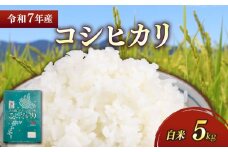 新米 令和7年 彦根産 コシヒカリ 5kg こしひかり お米 白米 精米 米 こめ おこめ コメ ご飯 ごはん コシヒカリ おすすめ 送料無料 彦根 ひこね 滋賀 