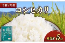 ★無洗米★ 新米 令和7年 彦根産 コシヒカリ 5kg こしひかり お米 白米 無洗米 米 こめ コメ おこめ ご飯 ごはん おすすめ 送料無料 滋賀 彦根 ひこね 