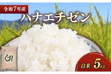 新米 令和7年 彦根産 ハナエチゼン 5kg お米 白米 精米 米 こめ コメ おこめ ご飯 ごはん はなえちぜん おすすめ 送料無料 滋賀 彦根 ひこね