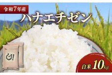 新米 令和7年 彦根産 ハナエチゼン 10kg（5kg×2袋）米 お米 白米 精米 こめ コメ おこめ ご飯 ごはん おすすめ はなえちぜん 送料無料 滋賀 彦根 ひこね