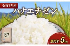 ★無洗米★ 新米 令和7年 彦根産 ハナエチゼン 5kg お米 白米 無洗米 米 こめ コメ おこめ ご飯 ごはん はなえちぜん おすすめ 送料無料 滋賀 彦根 ひこね