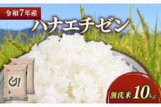 ★無洗米★ 新米 令和7年 彦根産 ハナエチゼン 10kg（5kg×2袋） お米 白米 無洗米 米 こめ コメ おこめ ご飯 ごはん はなえちぜん おすすめ 送料無料 滋賀 彦根 ひこね 