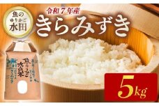 令和7年産 環境こだわり栽培 きらみずき 5kg 新米 ひこにゃん米 魚のゆりかご水田 精米 白米 米 こめ ごはん ご飯 弁当 おにぎり 令和7年 R7年 10月 発送 滋賀 彦根