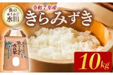令和7年産 環境こだわり栽培 きらみずき 10kg 新米 ひこにゃん米 魚のゆりかご水田 精米 白米 米 こめ ごはん ご飯 弁当 おにぎり 令和7年 R7年 10月 発送 5kg 2袋 滋賀 彦根