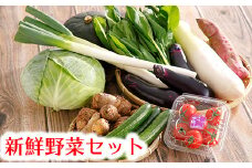 近江野菜詰め合せセット【1.5㎏～2㎏】【K002U】