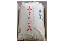 【令和6年産】環境こだわり米「みずかがみ」玄米【30㎏×1袋】【K073U】