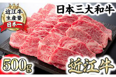【4等級以上】厳選　近江牛　カルビ　焼肉【500g】【BS02U】