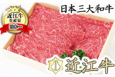 【PRキャンペーン対象】【近江牛　毛利志満】近江牛　すき焼き・しゃぶしゃぶ用スライス【400ｇ】【S011U】( 近江牛 ブランド和牛 牛肉 すきやき すき焼き しゃぶしゃぶ 国産 人気 鍋 滋賀県 近江八幡市 赤身 霜降り 神戸牛 松阪牛 に並ぶ 日本三大和牛 近江牛 ふるさと納税 )