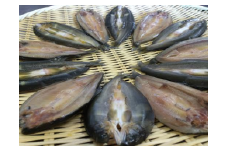 【鮎の繊細な味が凝縮された逸品】滋賀県産　鮎一夜干し【D005U】