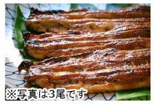 【PRキャンペーン対象】【一度食べたらやみつき！リピート多数 】うなぎ蒲焼２尾セット【D009U】
