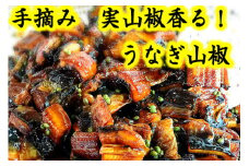 【滋賀県産　手摘み　実山椒香る！ 】うなぎ山椒　3個セット【D015U】