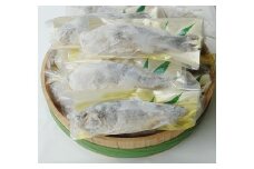近江本にごろ　ふなずし　【5kg(１７～２３尾)】【AD07U1】