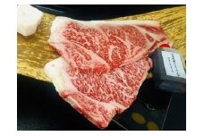 【4等級以上】極上近江牛サーロインステーキ【400ｇ（200ｇ×2枚）】【E008U】