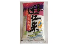 【6年産】近江米こしひかり【5kg×1袋】【T019U1】