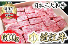 【4等級以上】近江牛サーロインステーキ【 600g】 角切り【H015U】