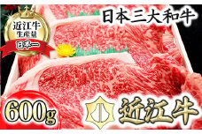 【4等級以上】近江牛サーロインステーキ【600ｇ（  200g×3枚入り）】【H013U】