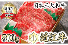 【PRキャンペーン対象】【4等級以上】極上近江牛すきしゃぶ用（ロース・肩ロース）【 500g】【AG03U】