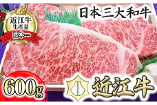 【PRキャンペーン対象】極上近江牛サーロインステーキ【600ｇ（200ｇ×3枚）】【AG01U】