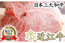 【5等級雌牛】【総本家肉のあさの】極旨近江牛ロースステーキ【400ｇ（200ｇ×2枚）】【AE01U】