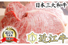 【5等級雌牛】【総本家肉のあさの】極旨近江牛ロースステーキ【400ｇ（200ｇ×2枚）】【AE01W】