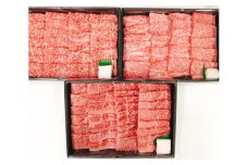【PRキャンペーン対象】【4等級以上】特選 近江牛焼肉食べ比べセット【1.5kg（肩ロース500ｇ、モモ500ｇ、バラ500ｇ)】【AB67U】