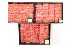【PRキャンペーン対象】【4等級以上】特選 近江牛焼肉食べ比べセット【1.5kg（肩ロース500ｇ、モモ500ｇ、バラ500ｇ)】【AB67U】