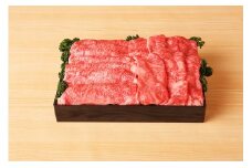 近江牛すき焼き・しゃぶしゃぶ用肩ロース【500g】＋近江牛ハンバーグ×3個【450ｇ（150ｇ×3個）】【AB65U】