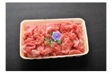 近江牛切り落とし【500ｇ】【AC02U】