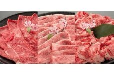 近江牛三種セット（３か月セット）【AC05U】
