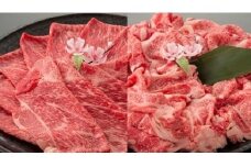近江牛二種セット【1㎏（赤身スライス500ｇ、切り落とし500ｇ）】【AC13U】
