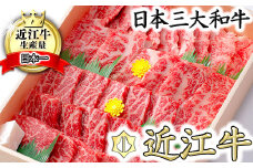【9月発送分】極上近江牛焼肉セット モモ・バラ【800g(モモ400gバラ400g)】【CB05U-9m】