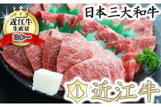 職人厳選 近江牛 希少部位焼肉用【700g】【CO02U】