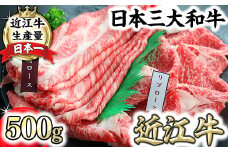 近江牛 霜降りすき焼き用（リブロース･肩ロース）【500g（リブロース250ｇ、肩ロース250ｇ）】【CO03U】
