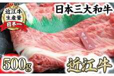 近江牛霜降り・赤身すき焼き用（肩ロース・ウデ）【500g（肩ロース250ｇ、ウデ250ｇ）】【CO05U】