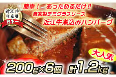 近江牛煮込みハンバーグ　自家製デミグラスソース　【1200g（200ｇ×6個）】【DI01U】