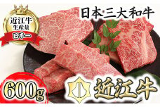 【PRキャンペーン対象】近江牛A5ランク厳選カットステーキ3種【600g】【DG03U】