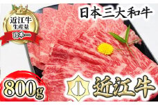 近江牛A5ランク　サーロイン・モモ　すき焼食べ比べセット【800g】【DG02U】